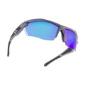 HQBC Glasses QX5 gray/black Photochromic