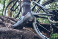 SHIMANO Shoes SHXC502 women's gray