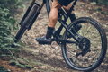 SHIMANO Shoes SHXC502 women's gray