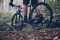 SHIMANO Shoes SHXC502 blue