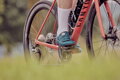 SHIMANO Shoes SHRC502 women's blue
