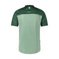 SHIMANO Jersey FUJIMI green