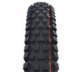 SCHWALBE Tire ALBERT TRAIL PRO (63-622) 29x2.50 Evolution 67EPI Radial 1180g Black TLR Ultra Soft