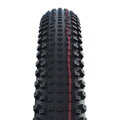 SCHWALBE Tire RICK XC PRO (62-622) 29x2.40 Evolution 67EPI 760g Transparent TLR Speed