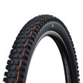 SCHWALBE Tire ALBERT GRAVITY PRO (63-622) 29x2.50 Evolution 67EPI Radial 1330g Black TLR Soft