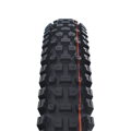 SCHWALBE Tire ALBERT TRAIL PRO (63-584) 27.5x2.50 Evolution 67EPI Radial 1110g Black TLR Soft