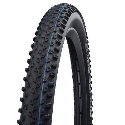 SCHWALBE Tire RACING RAY Evolution 29x2.10