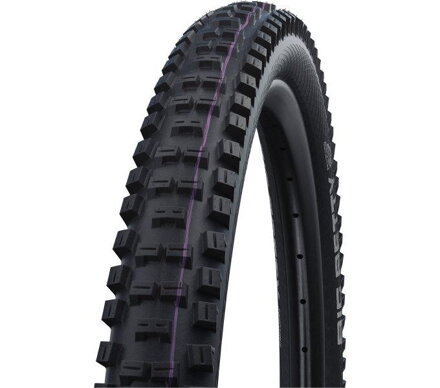 SCHWALBE Tire BIG BETTY Super Down Hill 29x2.40