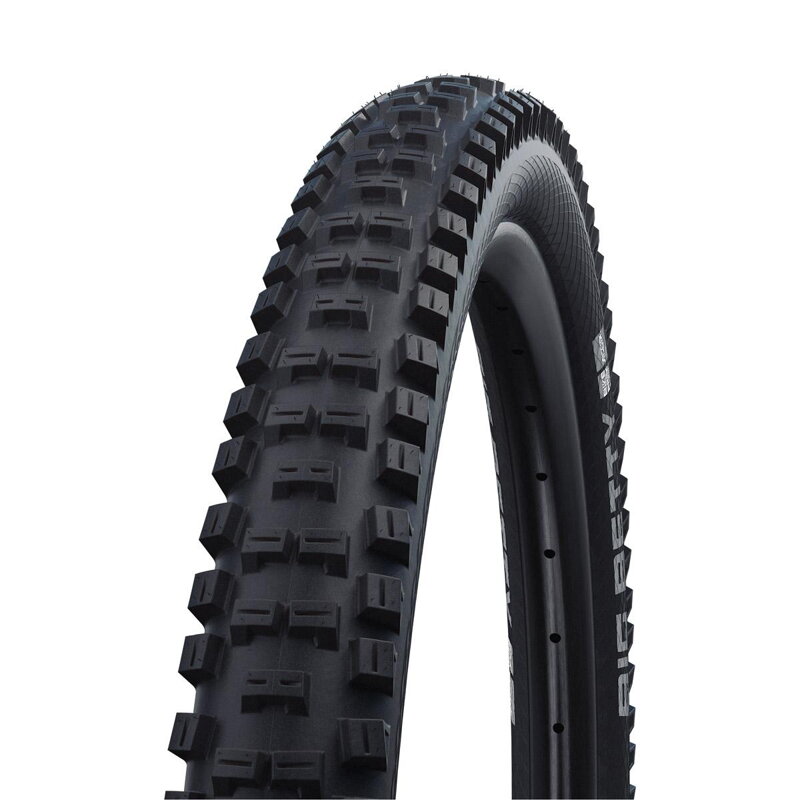 SCHWALBE Tire BIG BETTY (62-559) 26x2.40 Performance 2x50EPI 1350g Black