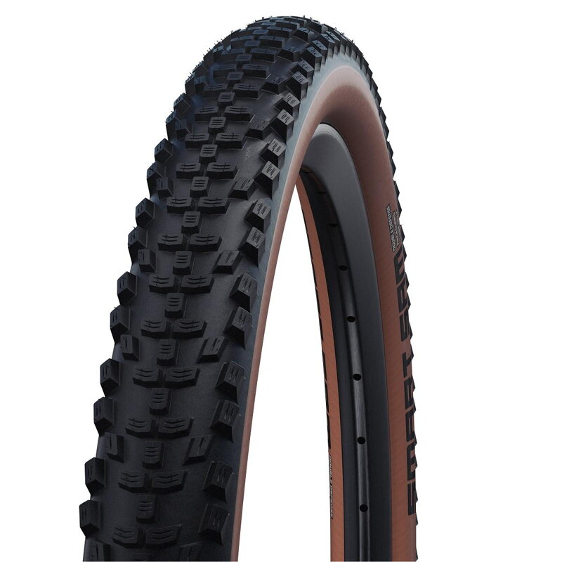 SCHWALBE Tire SMART SAM (57-622) 29x2.25 Performance 67EPI 770g Bronze