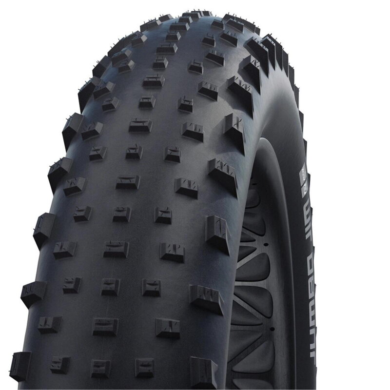 SCHWALBE Tire JUMBO JIM (100-559) 26x4.00 Performance 67EPI 1050g Black