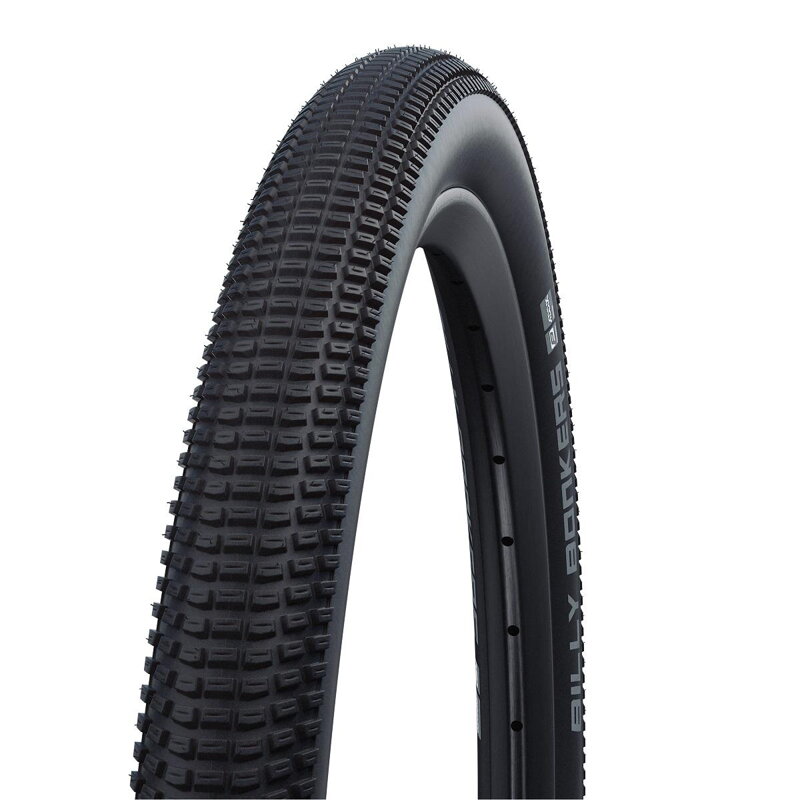 SCHWALBE Tire BILLY BONKERS (57-559) 26x2.25 Performance 67EPI 615g Black