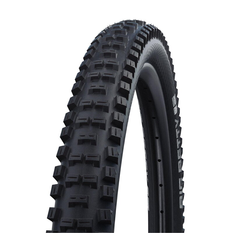 SCHWALBE Tire BIG BETTY (62-622) 29x2.40 Performance 67EPI 1210g Black TLE
